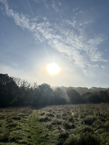 Mounjaro August Starters 6