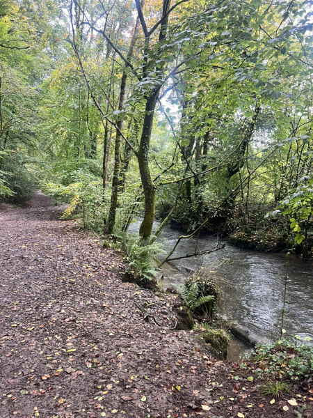 Mounjaro August Starters 6