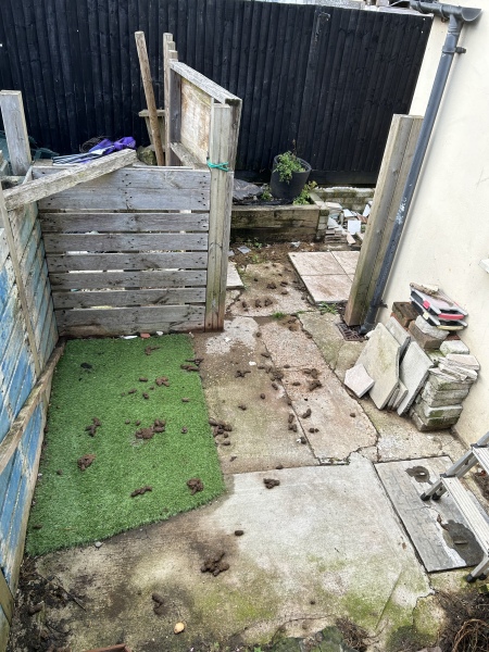 Neighbours dog poo