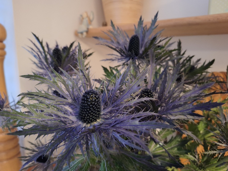 Poncetastic Christmas 2024