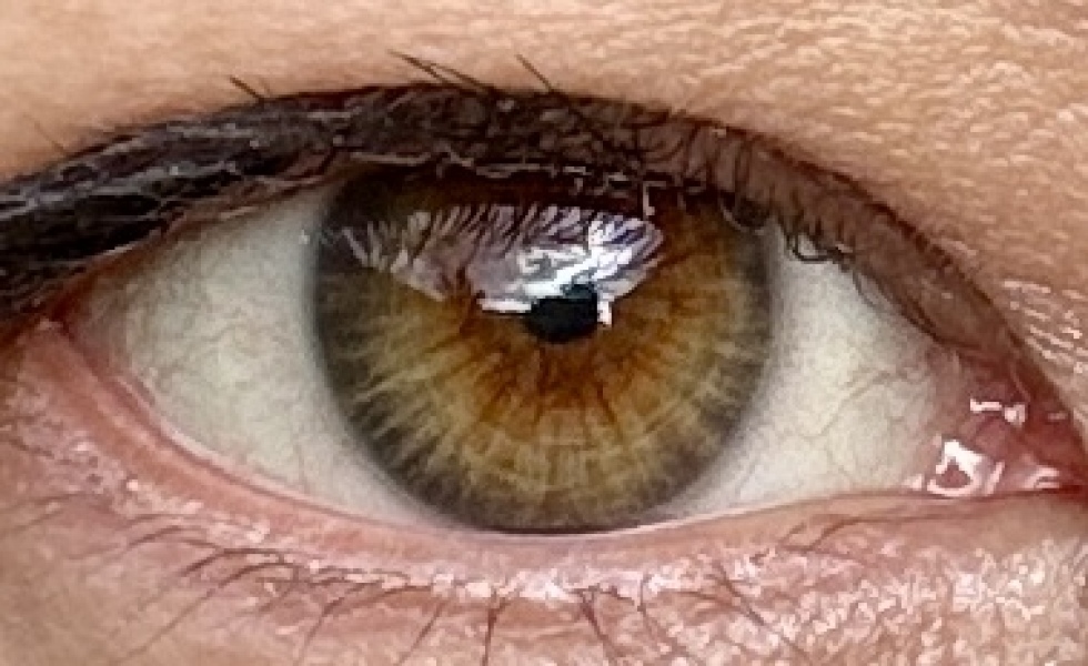What colour are my eyes?
