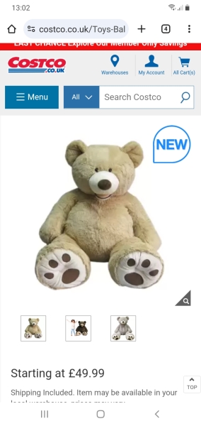 Equivalent to a Teddy for a 36 year old?