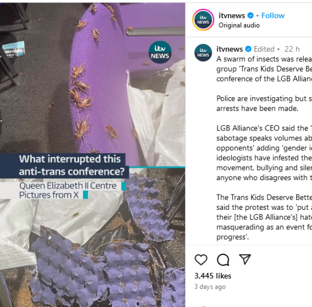 LGB Alliance  conference disrupted by TRAs