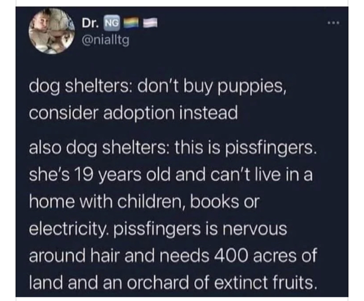 Yet, another moan about rehoming from rescue charity