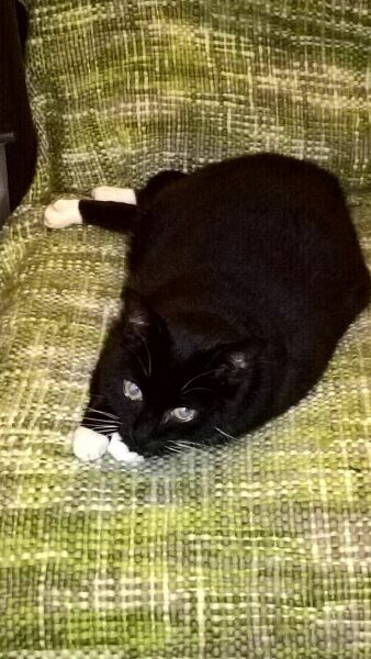 Thread 10 Starmer: First Female Chancellor delivers the Budget