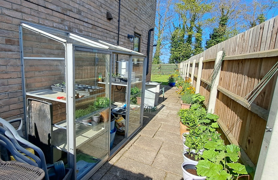 Anyone have experience of small greenhouses that fit to a wall? With picture!