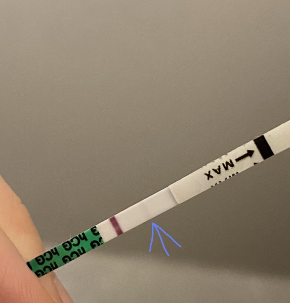 15 DPO. Is this line too faint?