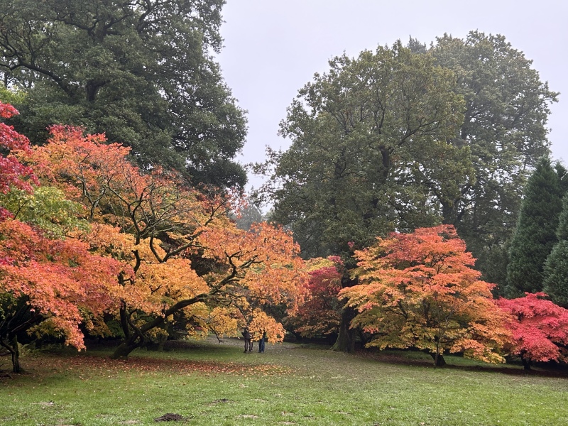 The Great Cancer Recovery part 3