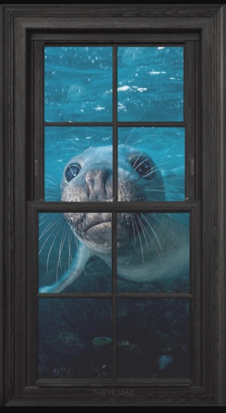 Abusive cleaner took pics of my home