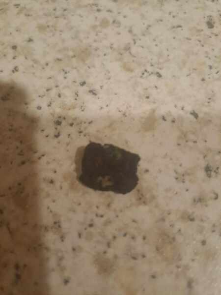 TF is this that I found in my salad?