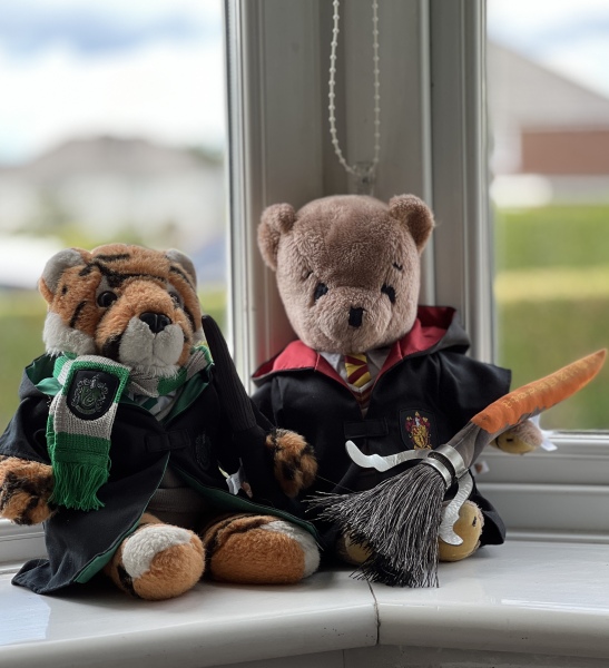 Harry Potter themed gifts