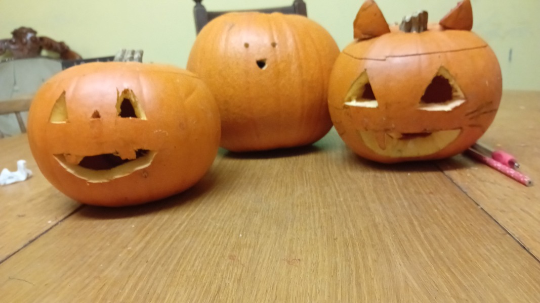 Show us your pumpkins!