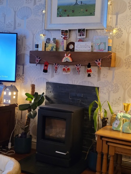 Fireplace where you can't fit a wood burner- gas? Bioethanol?