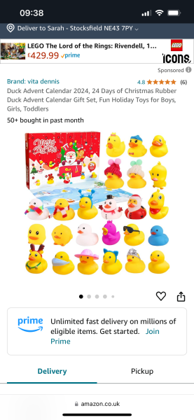 Ideas for duck themed Christmas