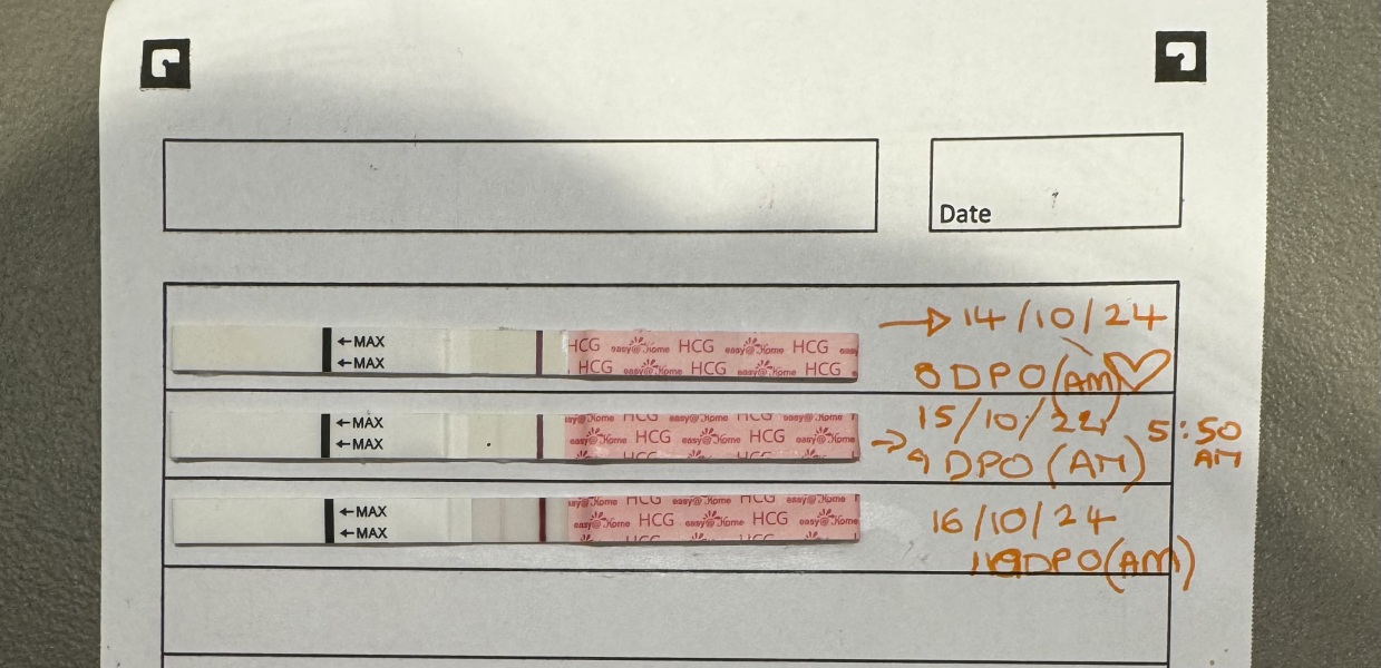 Brown spotting 10DPO after BFP