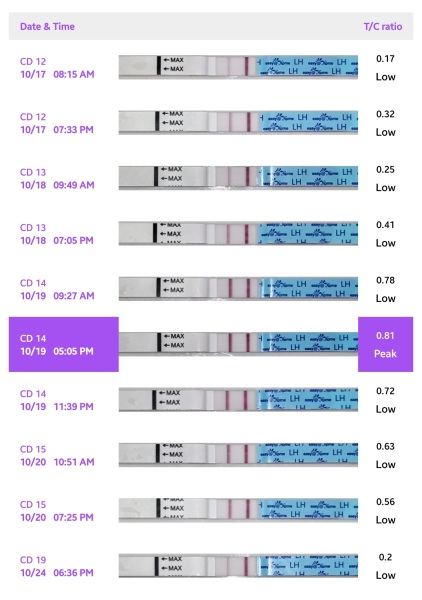 TTC FIRST BABY - New cycle, let's go girls !