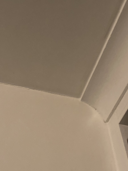 I'm stupid. Help me figure out coving.