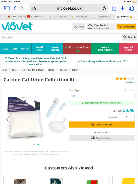 Flounders or Flouncers? The Excellent Cats continue their important debate