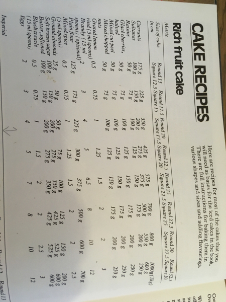 Poncetastic Christmas 2024