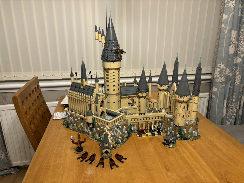 To show me your Lego collection?