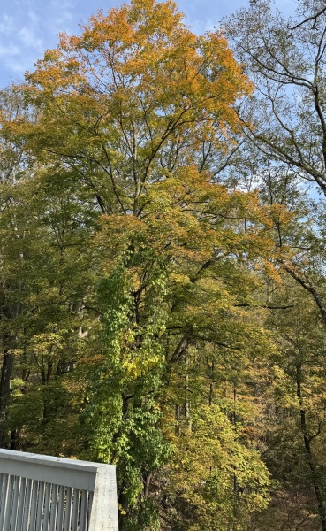 Come and tell me your dull and unexciting news 31: Calmly through the day