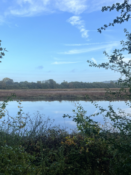 Mounjaro August Starters 6