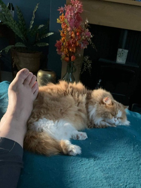 Thread 10 Starmer: First Female Chancellor delivers the Budget