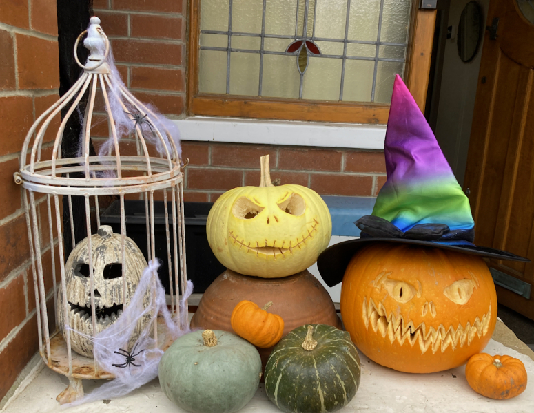 Show us your pumpkins!