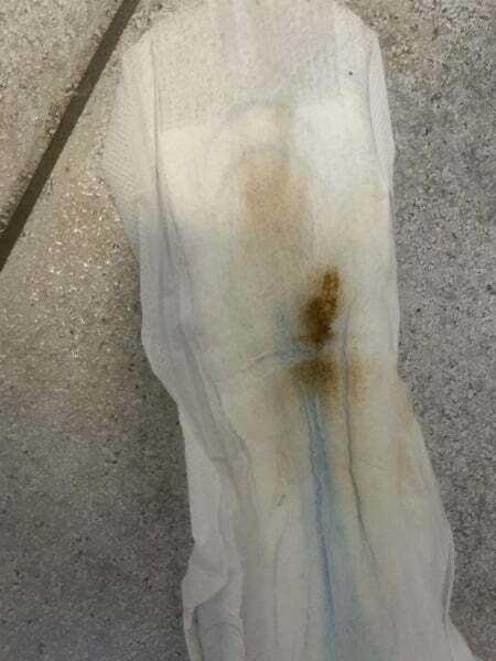 Is this implantation bleeding (tmi pic?