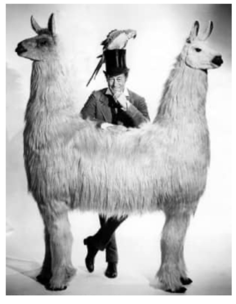 Flounders or Flouncers? The Excellent Cats continue their important debate