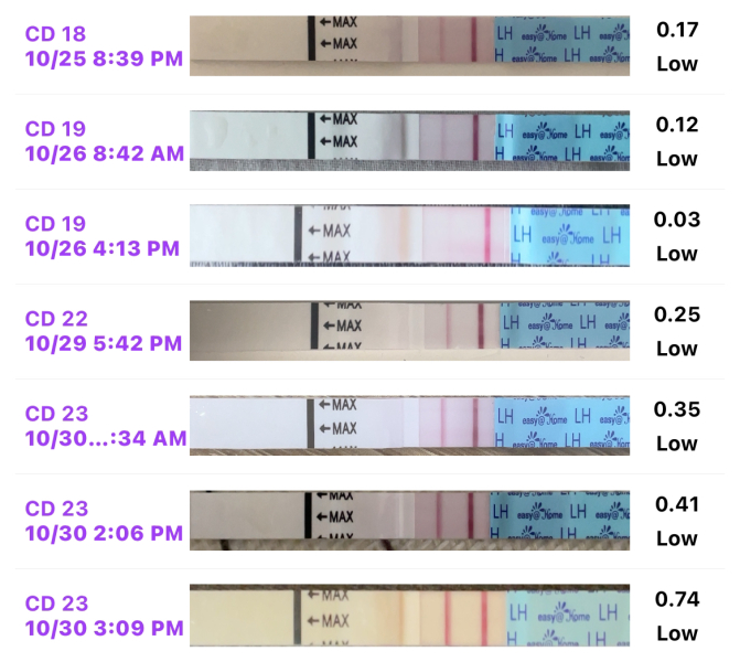 TTC FIRST BABY - New cycle, let's go girls !