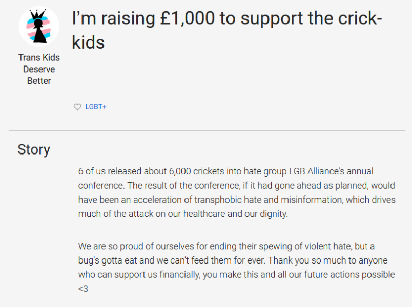 LGB Alliance  conference disrupted by TRAs