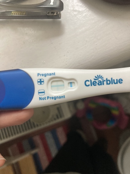 Evap line or positive pregnancy test?
