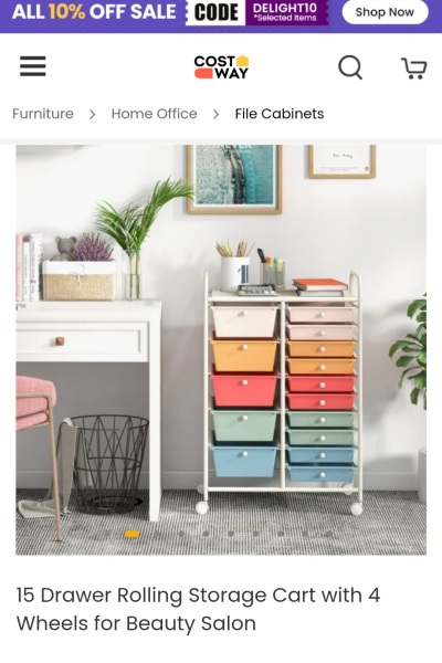 Does stylish art supply storage exist?