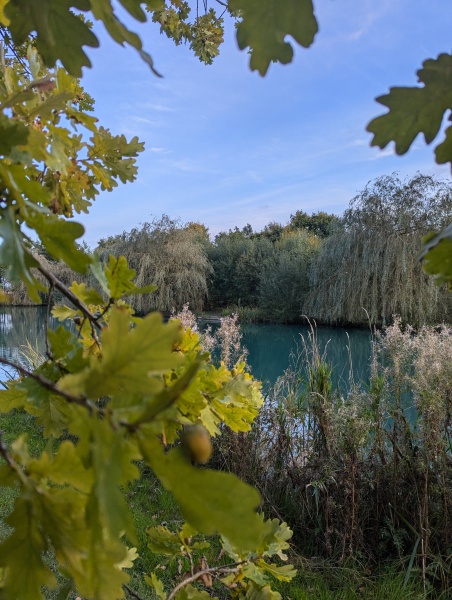 The Autumnal Christmas Chronicles Preamble - Thread 2 further ramblings