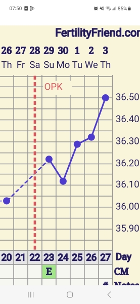 Bbt chart ovulation?