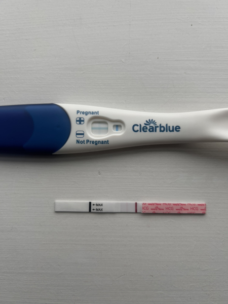 Pregnancy Test