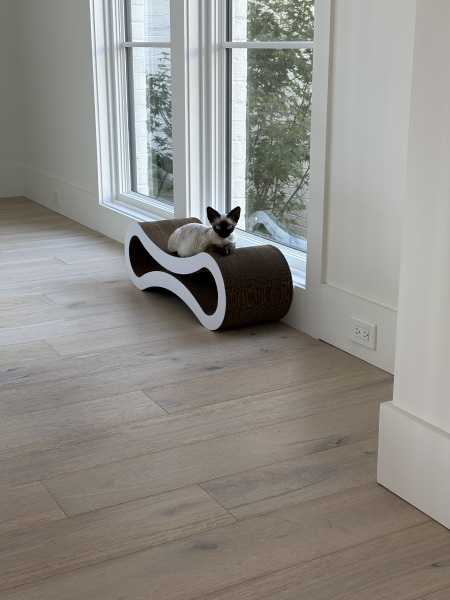 Thread 10 Starmer: First Female Chancellor delivers the Budget