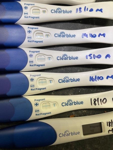 Should the lines be darker