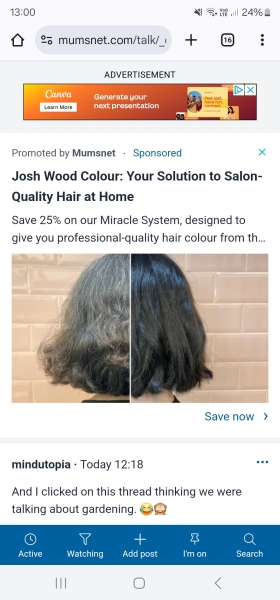 What to do with a bush that is grey 🙈