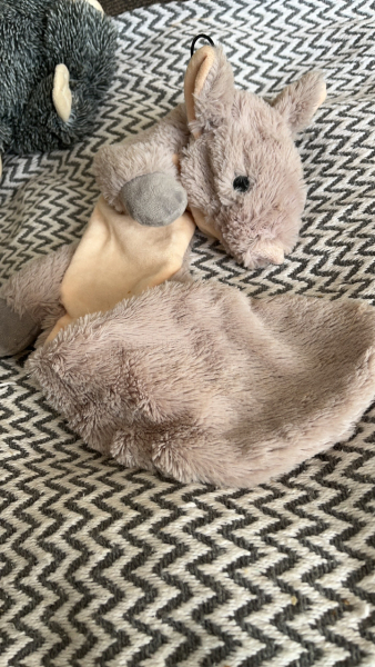 Need Help Finding Replacement Dog Toy