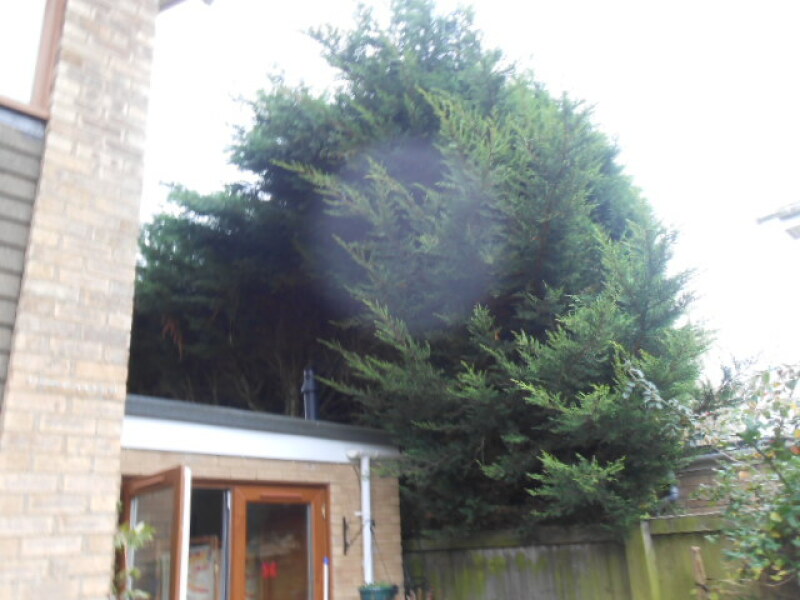 To believe my neighbour is responsible for damage done, and not me?