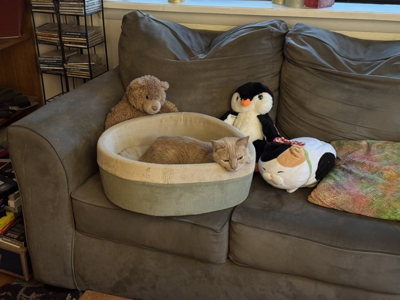 Come and tell me your dull and unexciting news 31: Calmly through the day