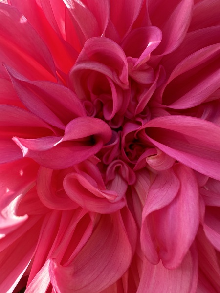 The Autumnal Christmas Chronicles Preamble - Thread 2 further ramblings