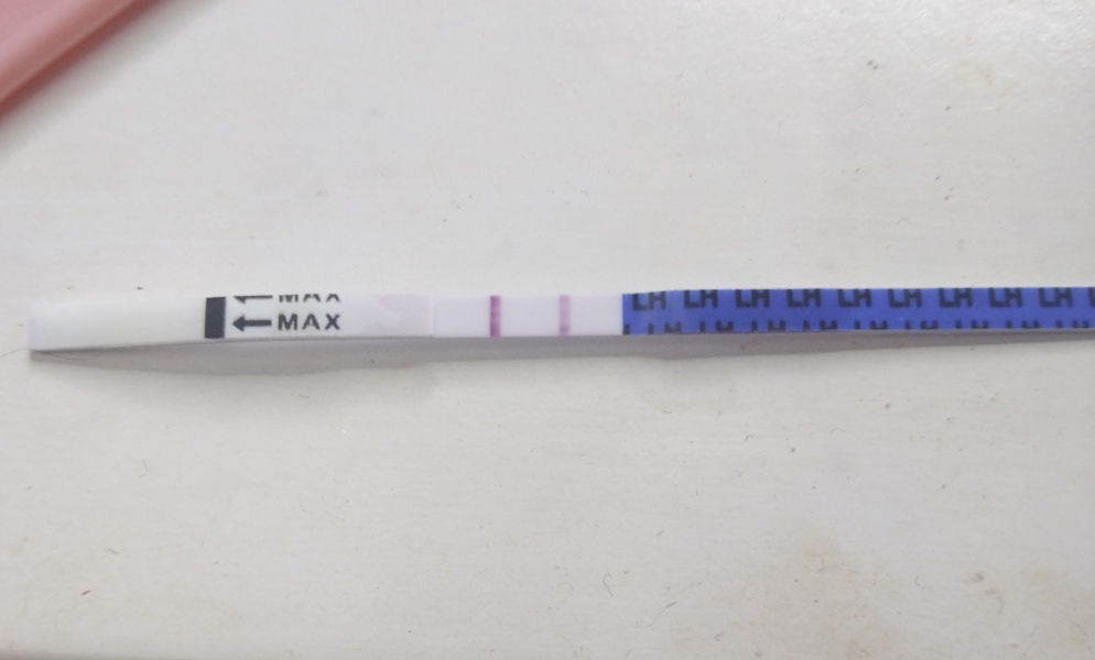 Lh test not registering positive on premom?