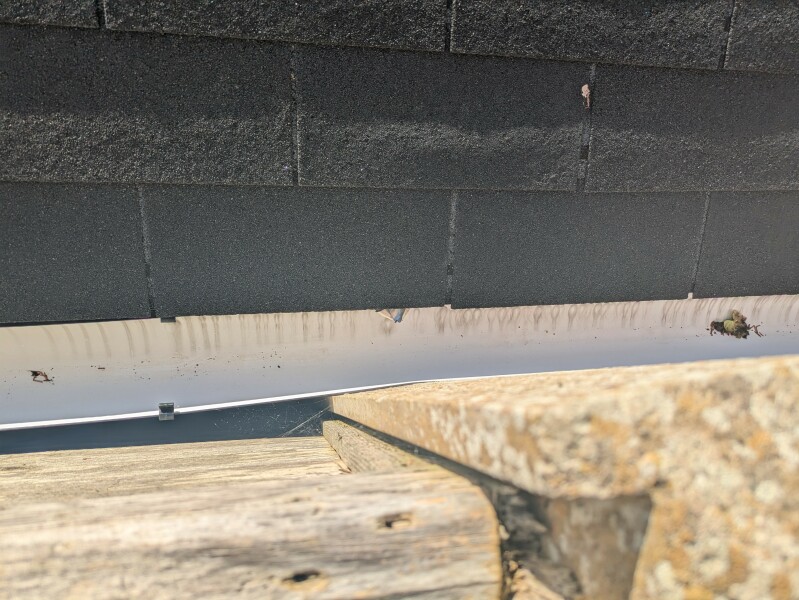 Neighbour building summerhouse on my boundary