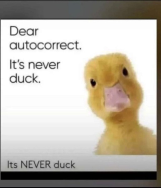 Can I call my child Duckie?