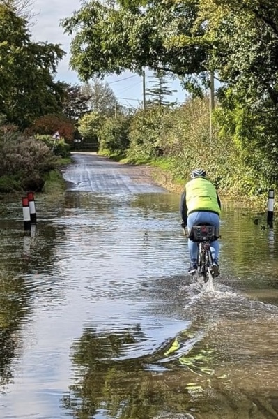 The Great Cancer Recovery part 3