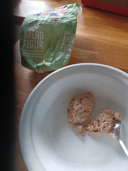 Sourdough Bread Starter