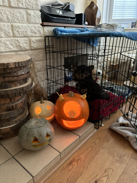 Show us your pumpkins!